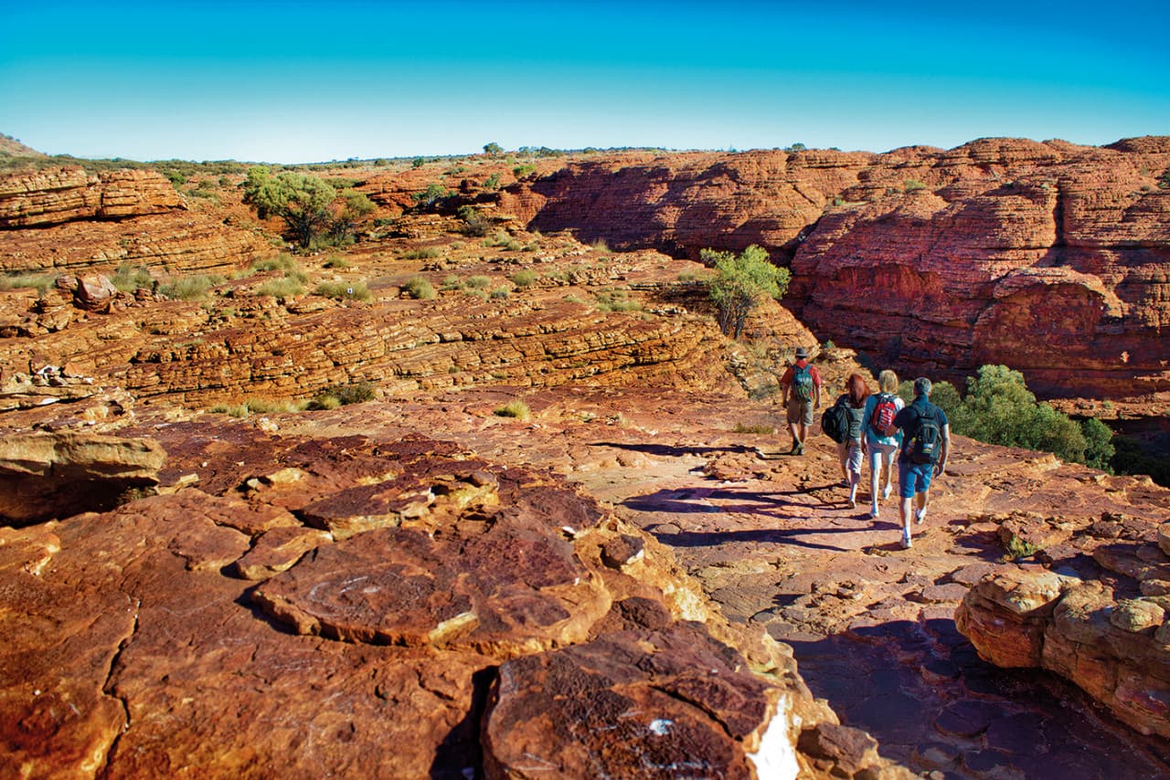 Palm Valley Outback Safari 4WD Tour - main image