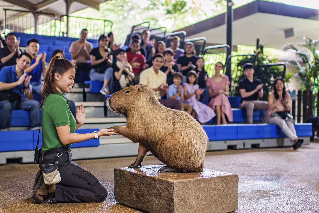 River Wonders Singapore Ticket - image 9