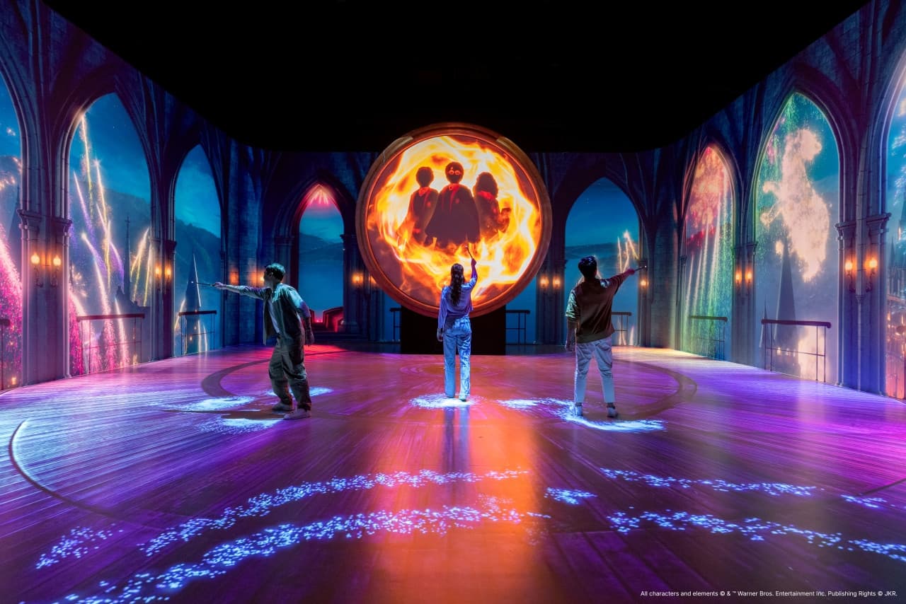 Harry Potter: Visiones de la Magia - imagen 7