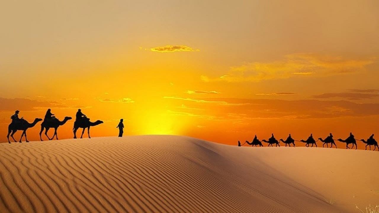 Liwa Desert Safari Tour - image 2