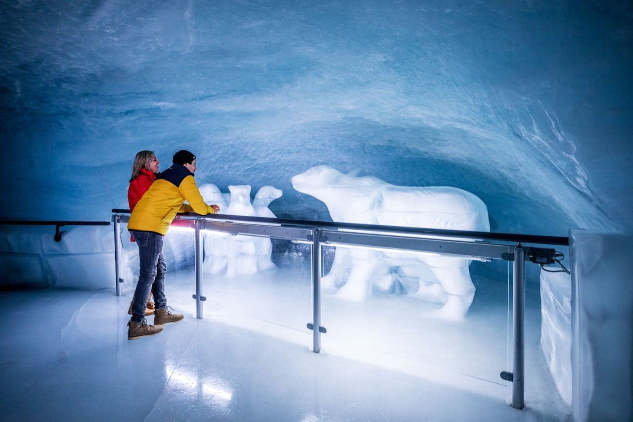 Jungfraujoch: tren de ida y vuelta desde Grindelwald - imagen 3
