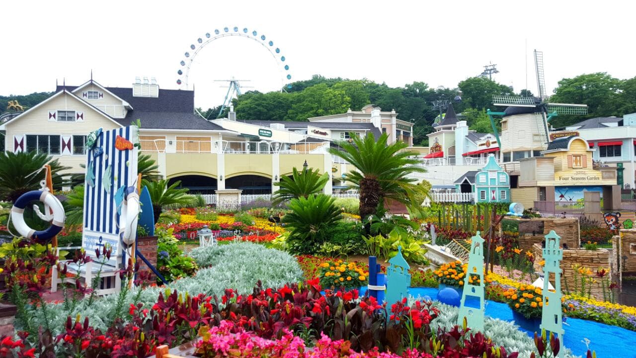 Everland Theme Park Ticket - imagen 14