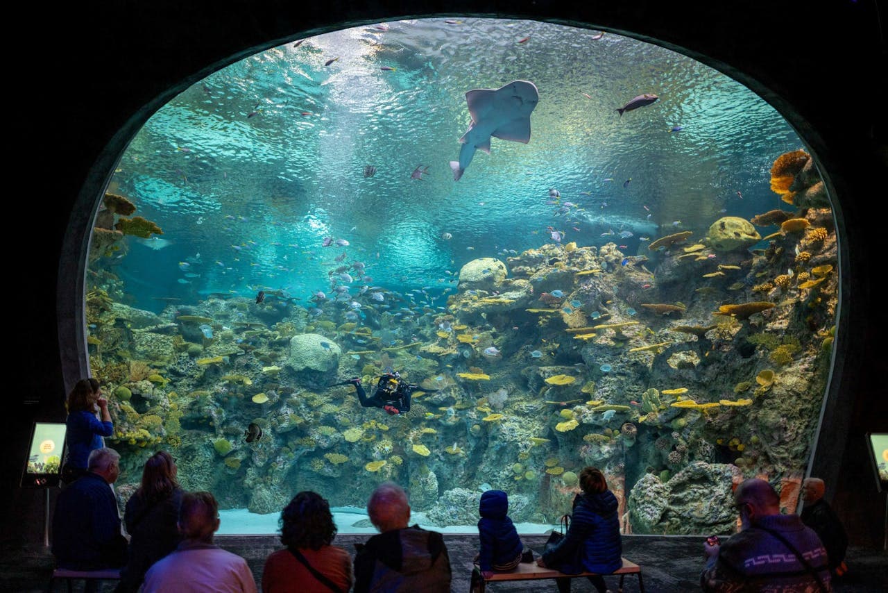 Entrada para el Seattle Aquarium - imagen principal