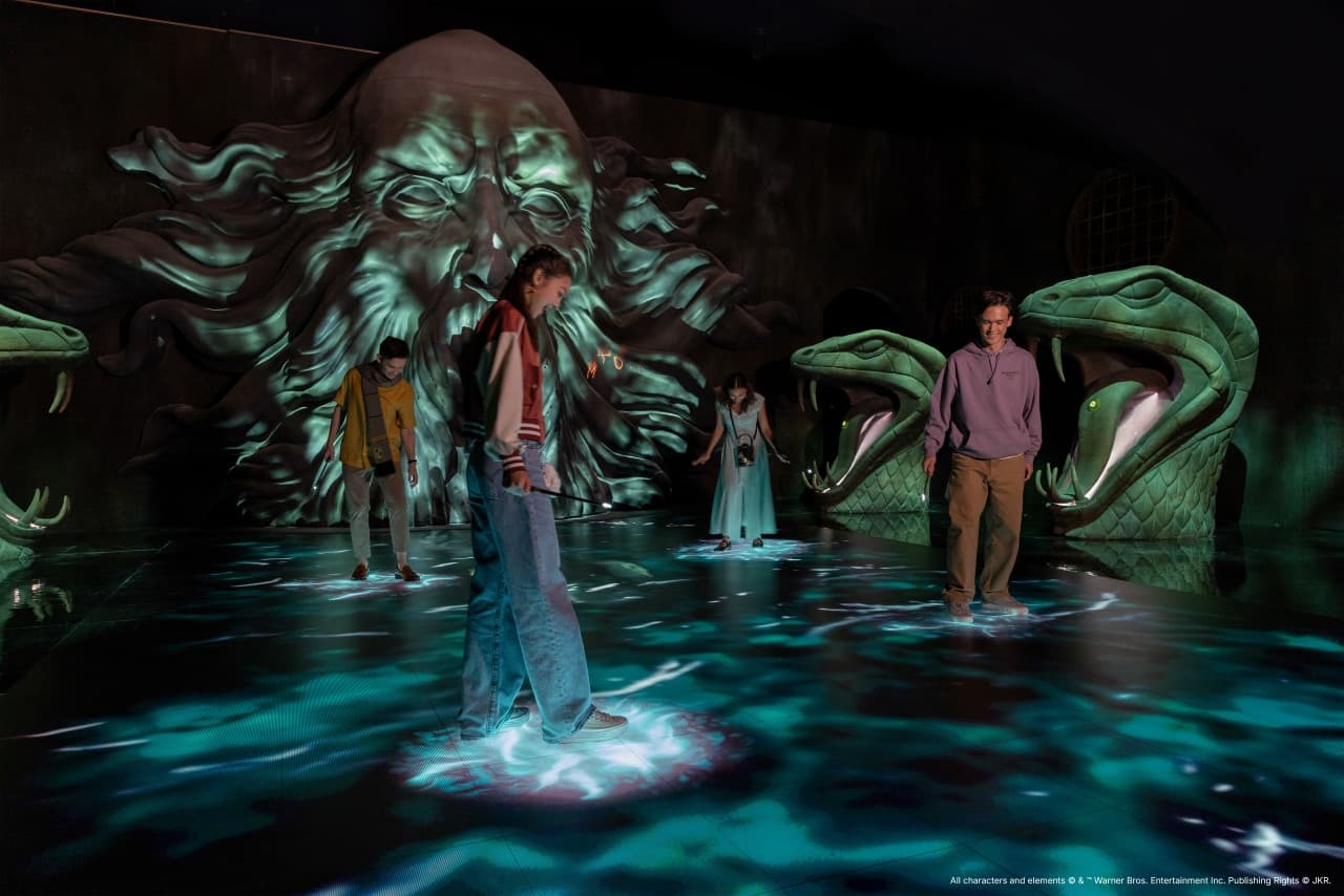 Harry Potter: Visiones de la Magia - imagen 3