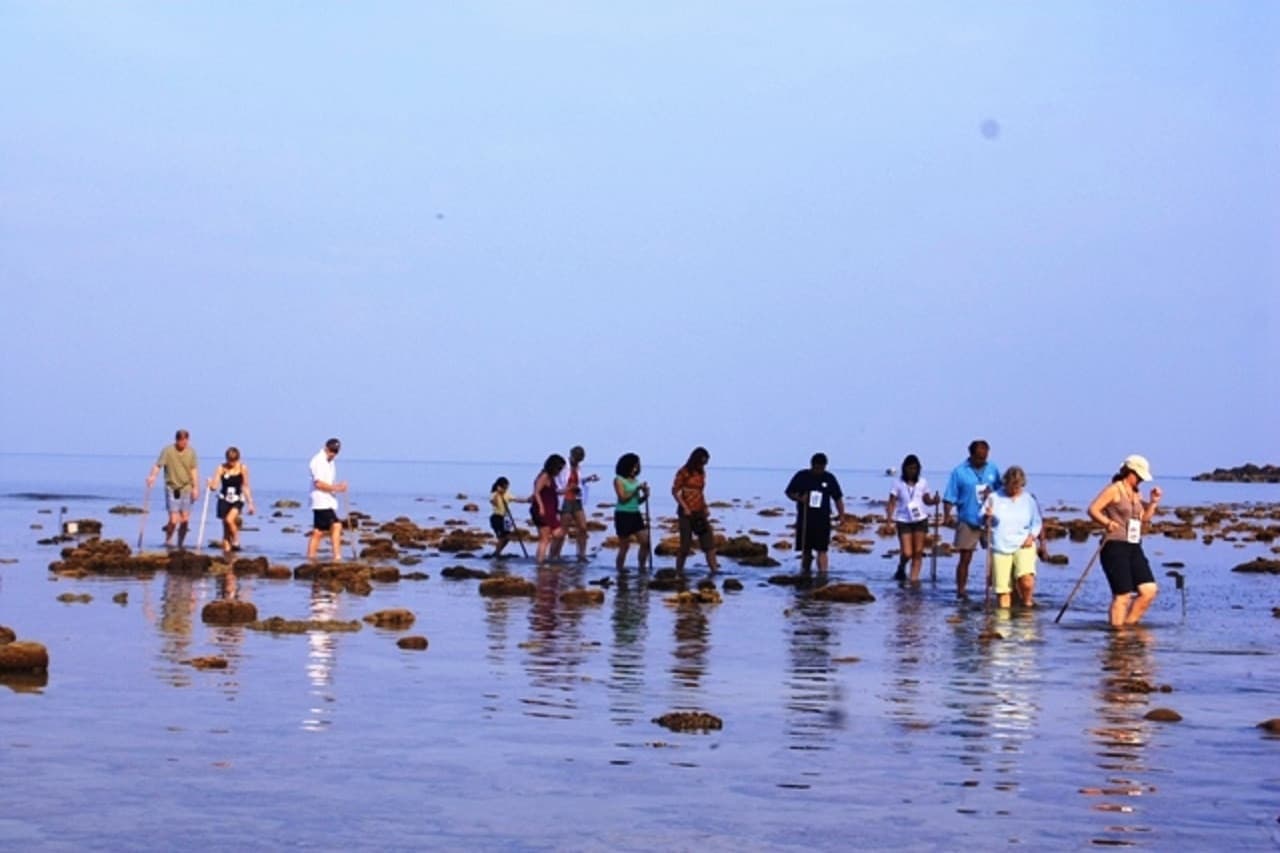 Desaru Beach and Tide Pool Walk - image 10