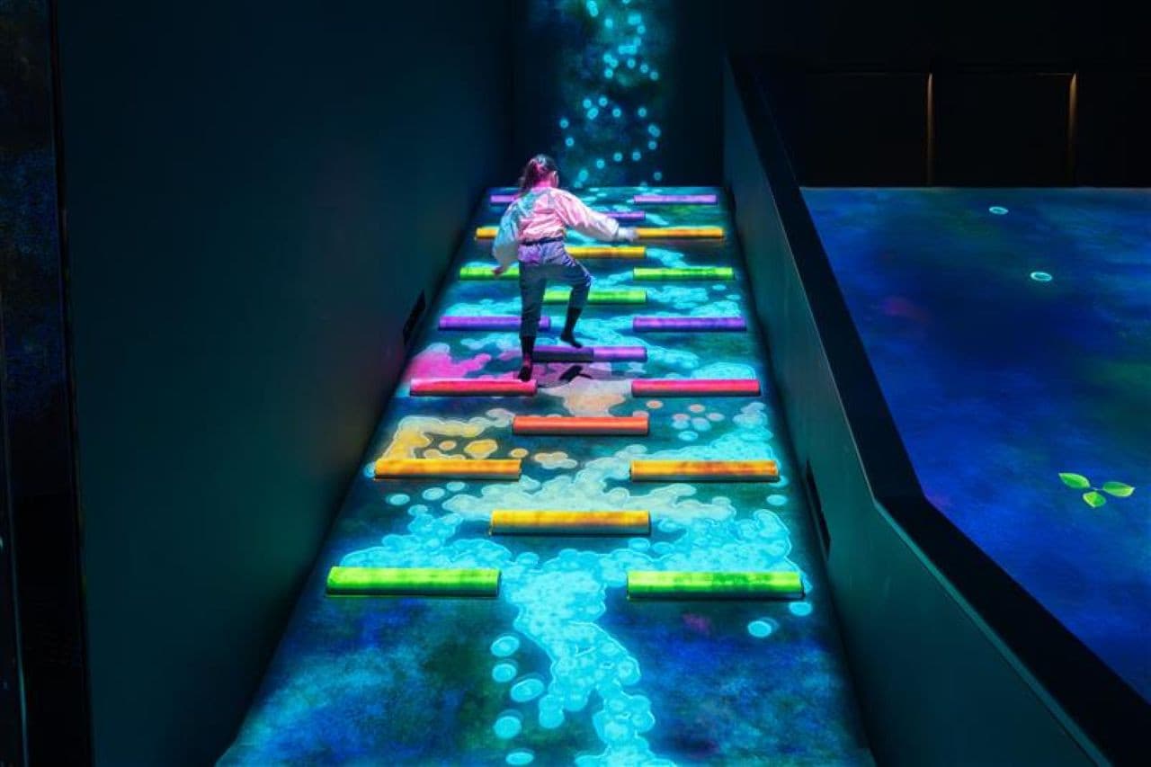 Entrada al ArtScience Museum - imagen 5