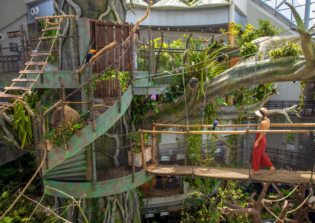 COMBO: Ain Dubai + The Green Planet Tickets - image 9