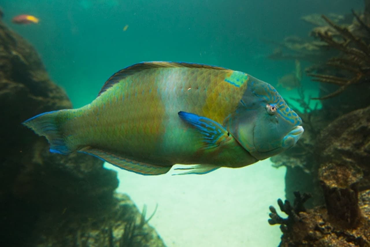 New York Aquarium - image 3