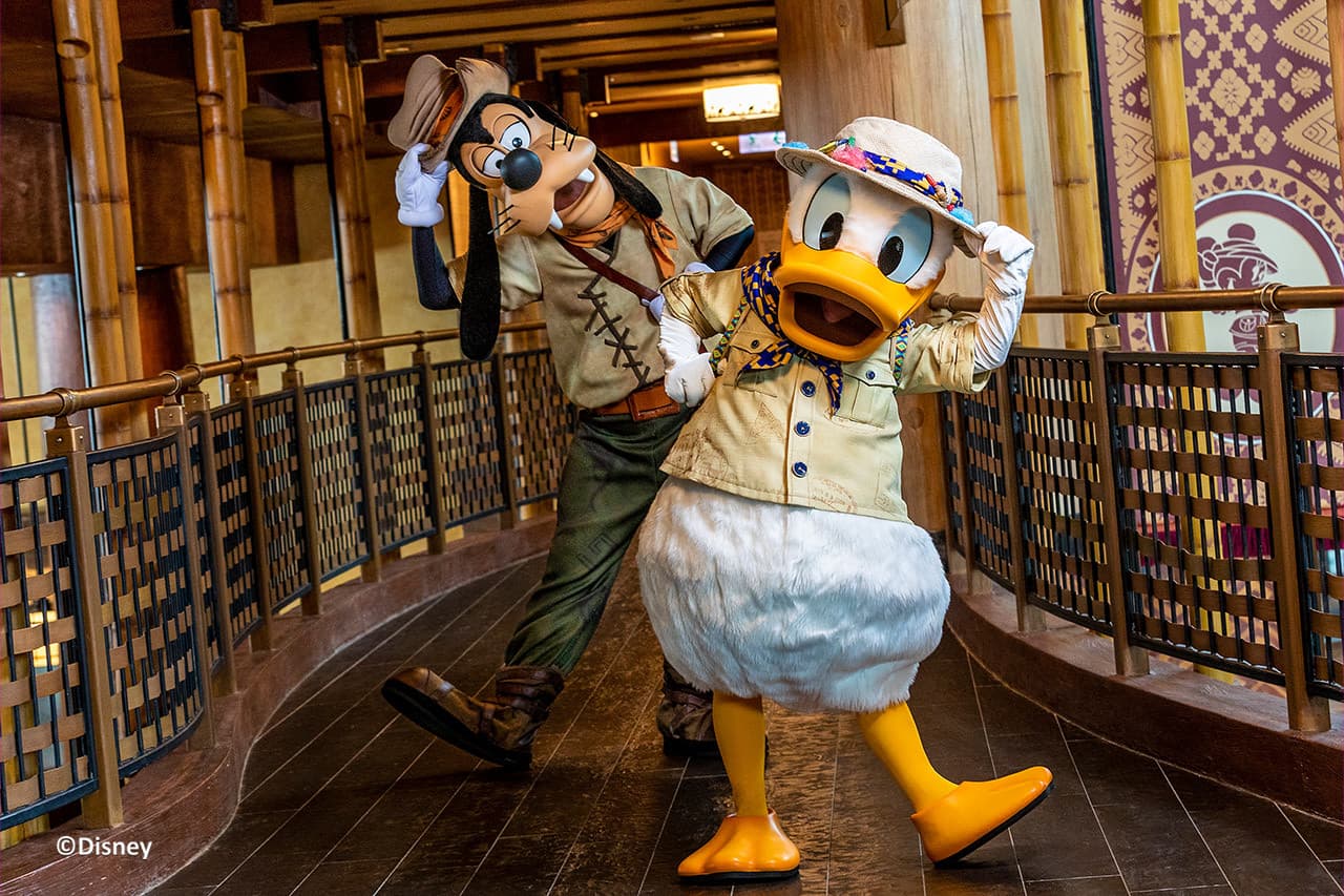 Hong Kong Disneyland Disney Premier Access Ticket - image 48