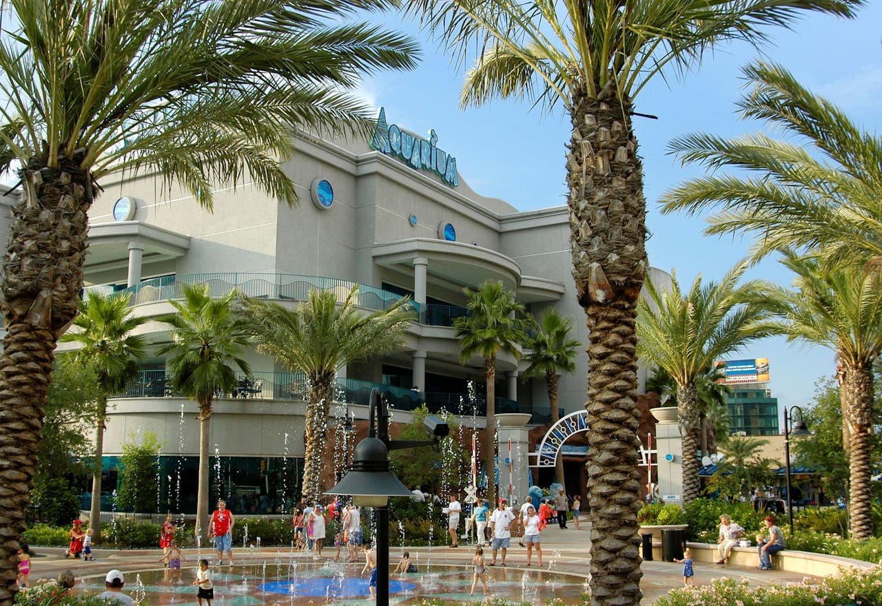 Entrada para Downtown Aquarium Houston - imagen 2
