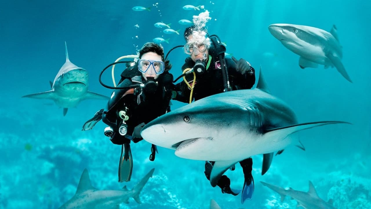 어드벤처 코브 워터파크 - 얼티메이트 마린 라이프 익스피리언스 (Ultimate Marine Life Experience) - 이미지 5