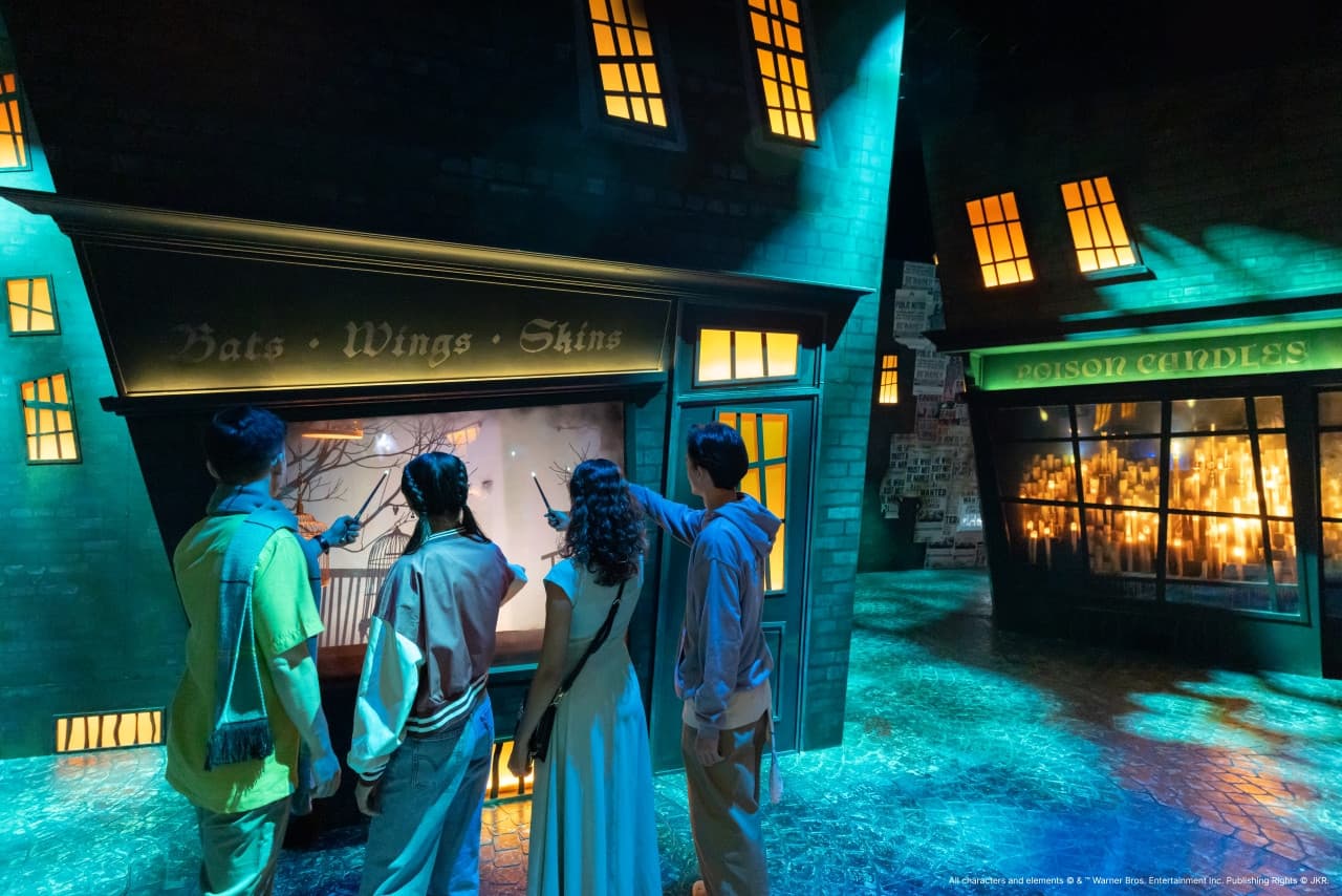 Harry Potter: Visiones de la Magia - imagen 9