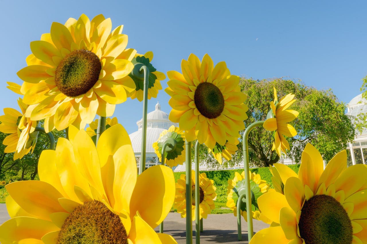 New York Botanical Garden Ticket - image 9