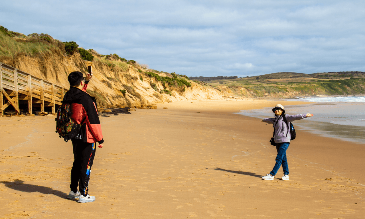 Phillip Island with Penguin Parade Eco Tour - image 17