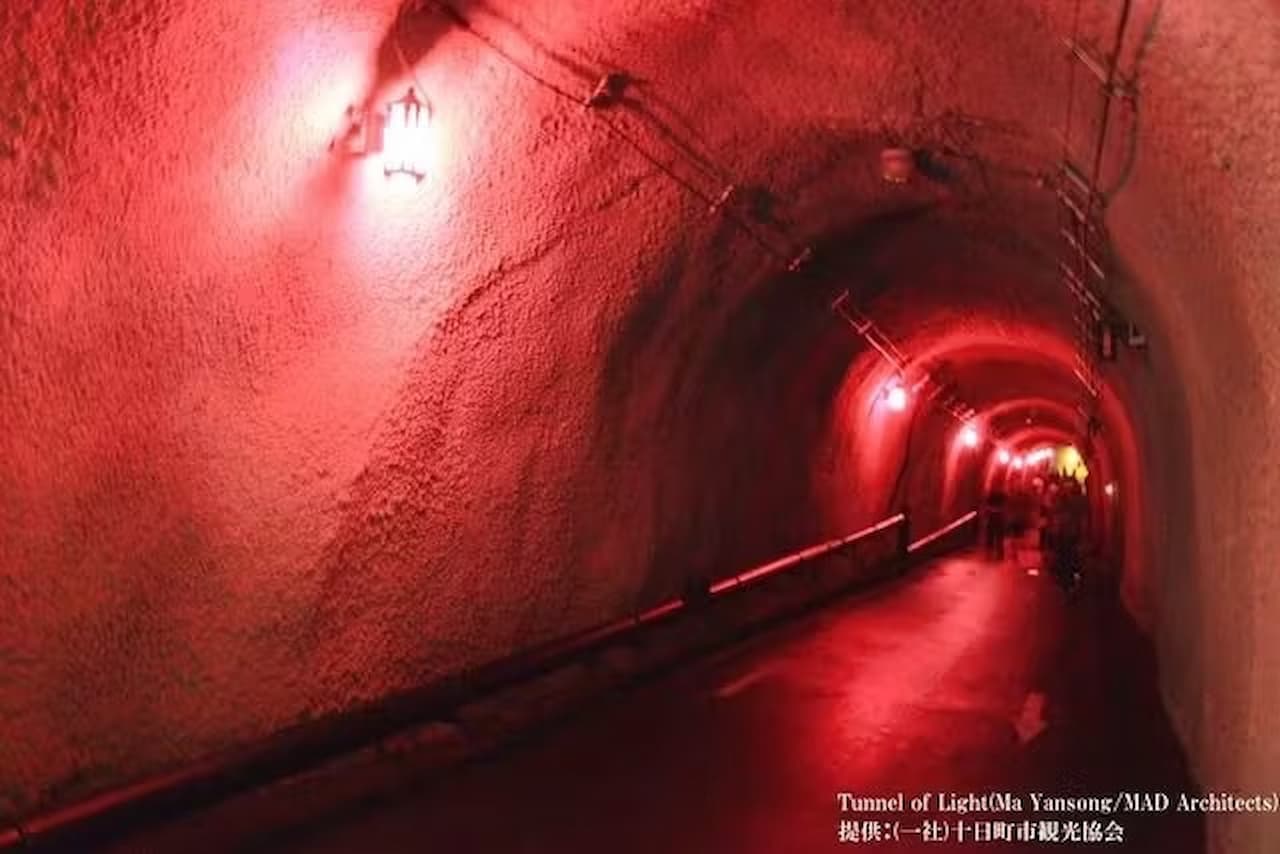 Kiyotsukyo Gorge Tunnel Ticket - image 9