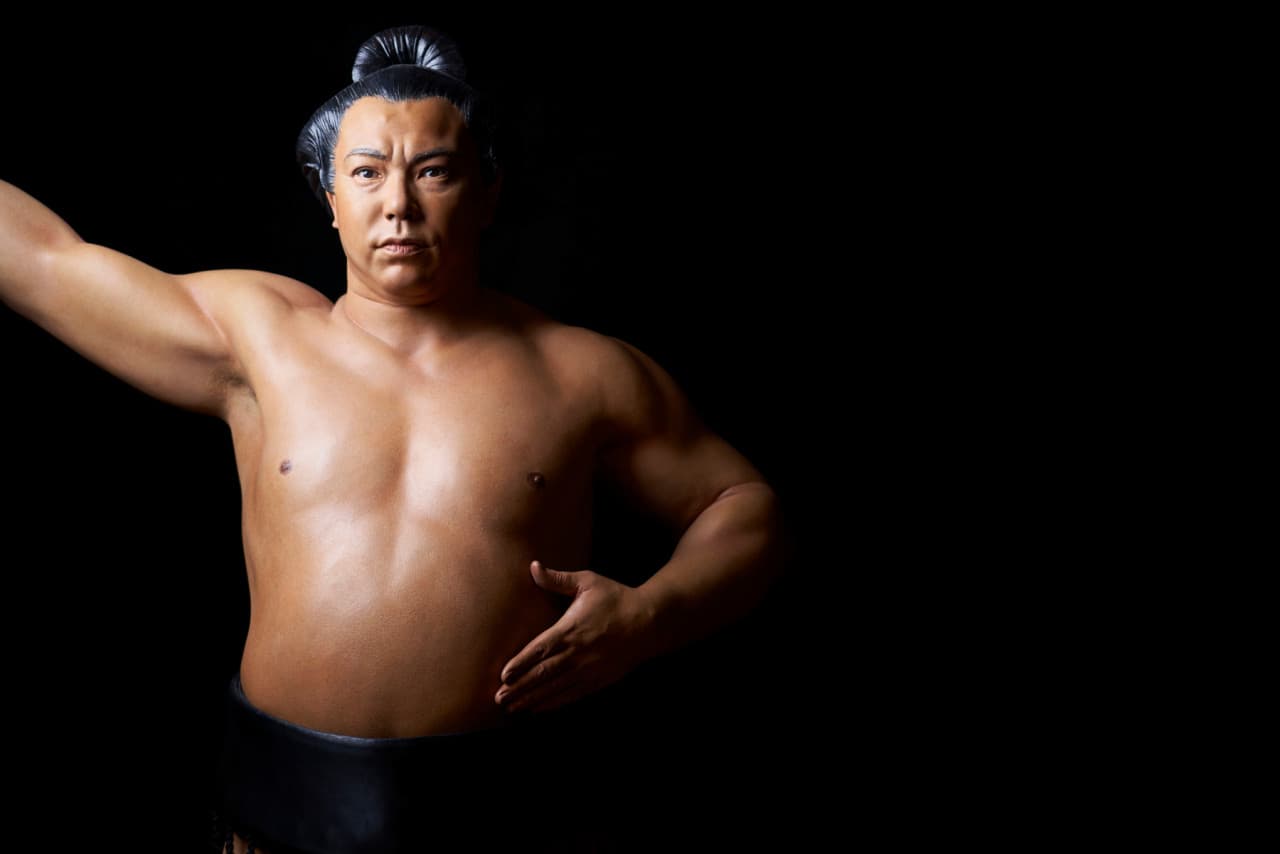 Entrada para Madame Tussauds Tokyo - imagen 8