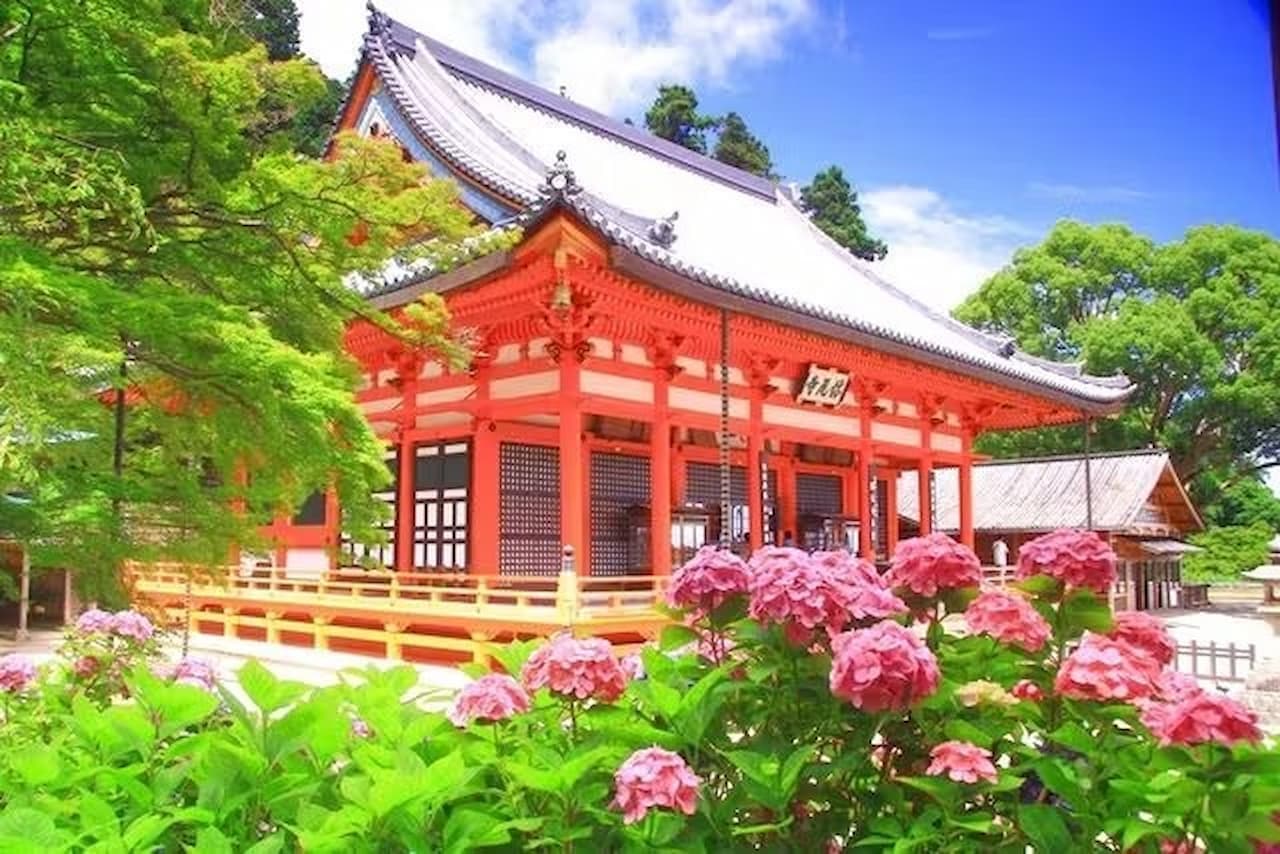 Katsuo-ji Temple Ticket - main image