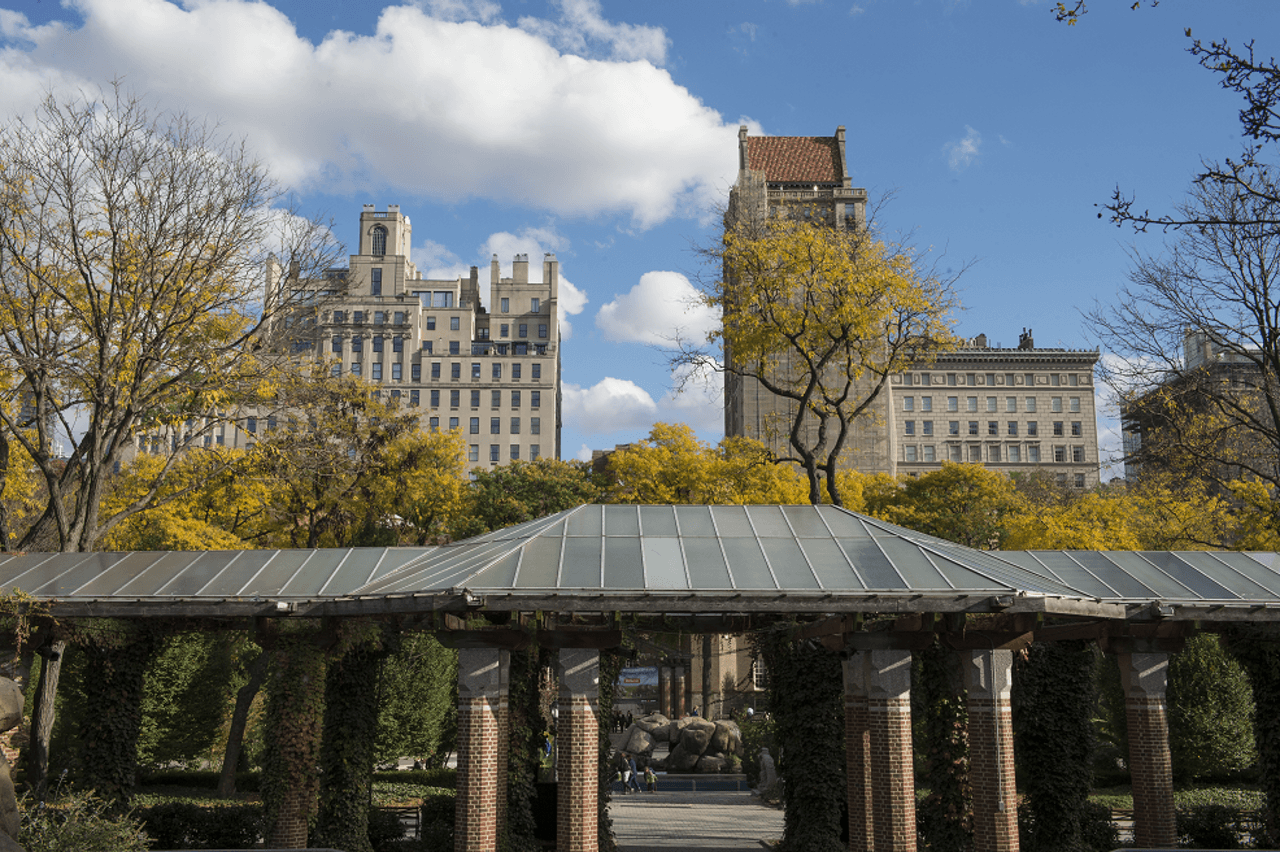Central Park Zoo - image 6