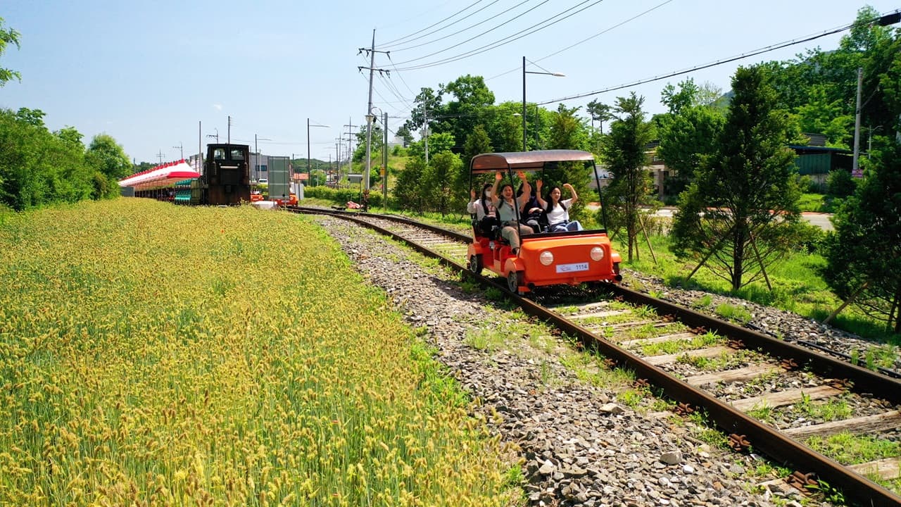 Tour de día completo a la isla de Nami, el monte Seorak y el Rail Bike de Gapyeong desde Seúl - imagen 21