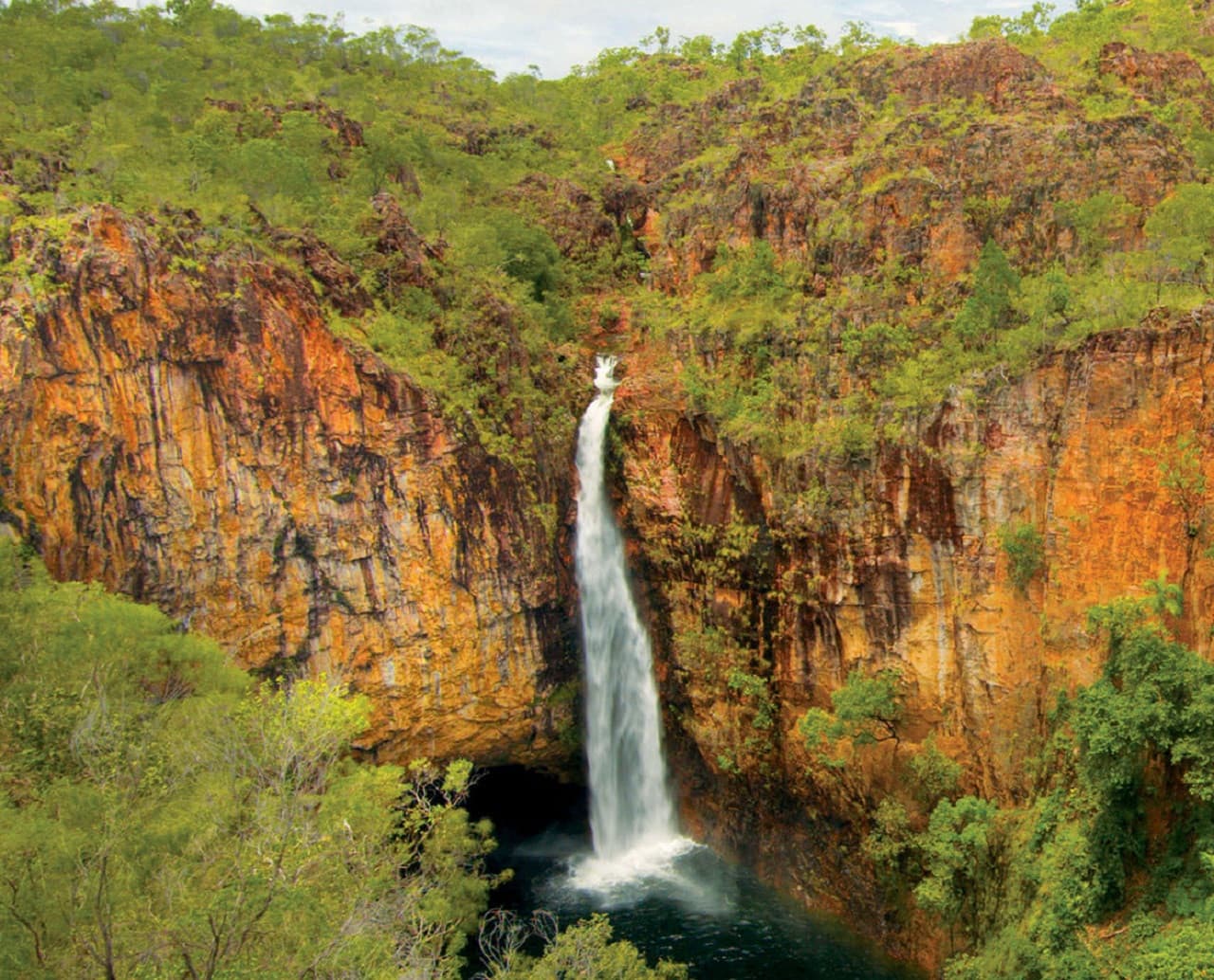 Litchfield National Park and Waterfalls Tour from Darwin - imagen principal