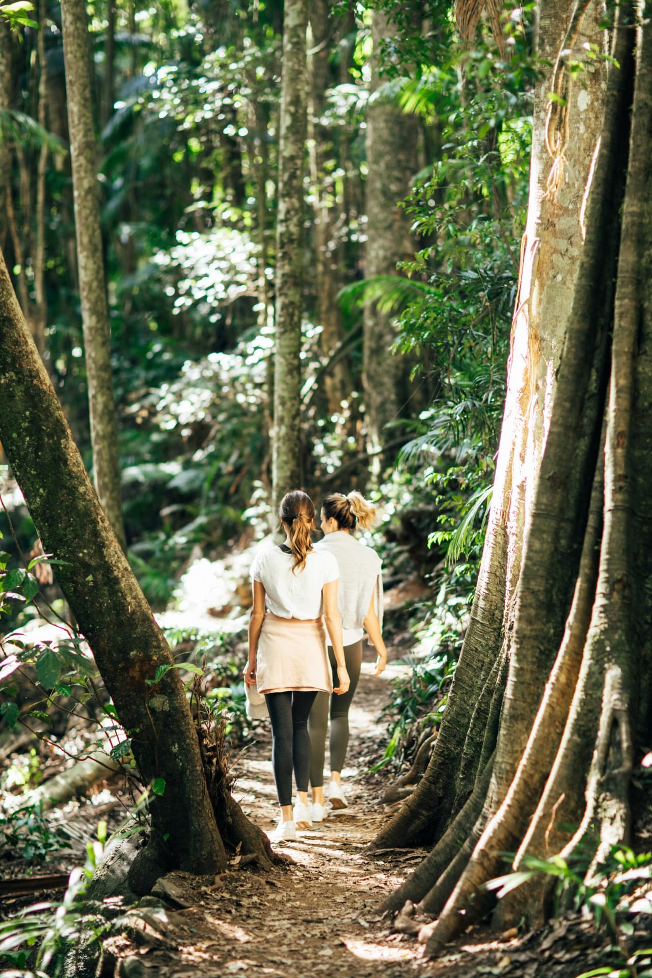Springbrook National Park Tour: Natural Bridge and Waterfalls - image 12