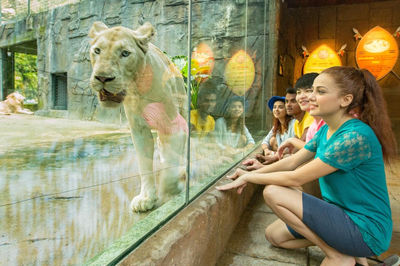 Entrada para Sunway Lagoon Theme Park - imagen 15