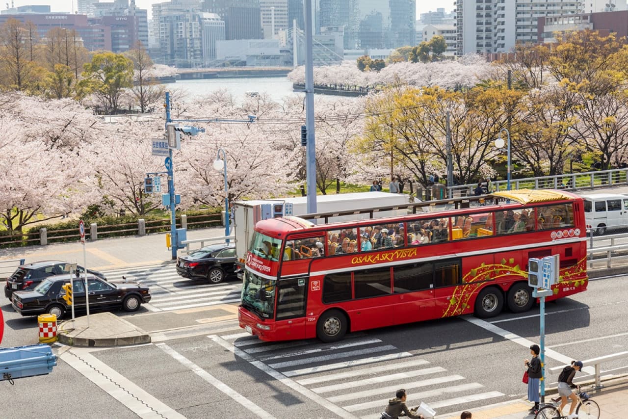 Tour panorámico en autobús Osaka Sky Vista o Nani Wonder - imagen 16