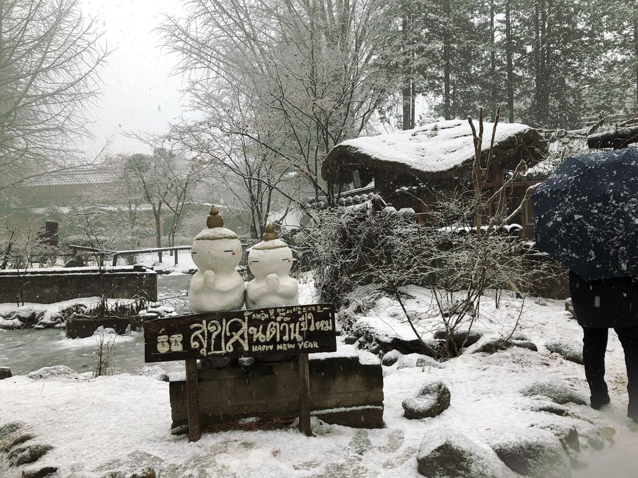 Tour de día completo a la isla de Nami, el monte Seorak y el Rail Bike de Gapyeong desde Seúl - imagen 11