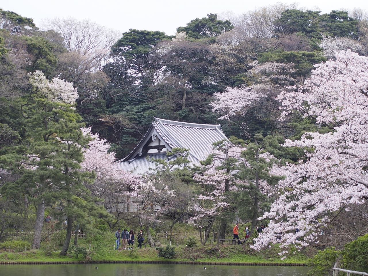 Sankeien Garden Ticket - image 5