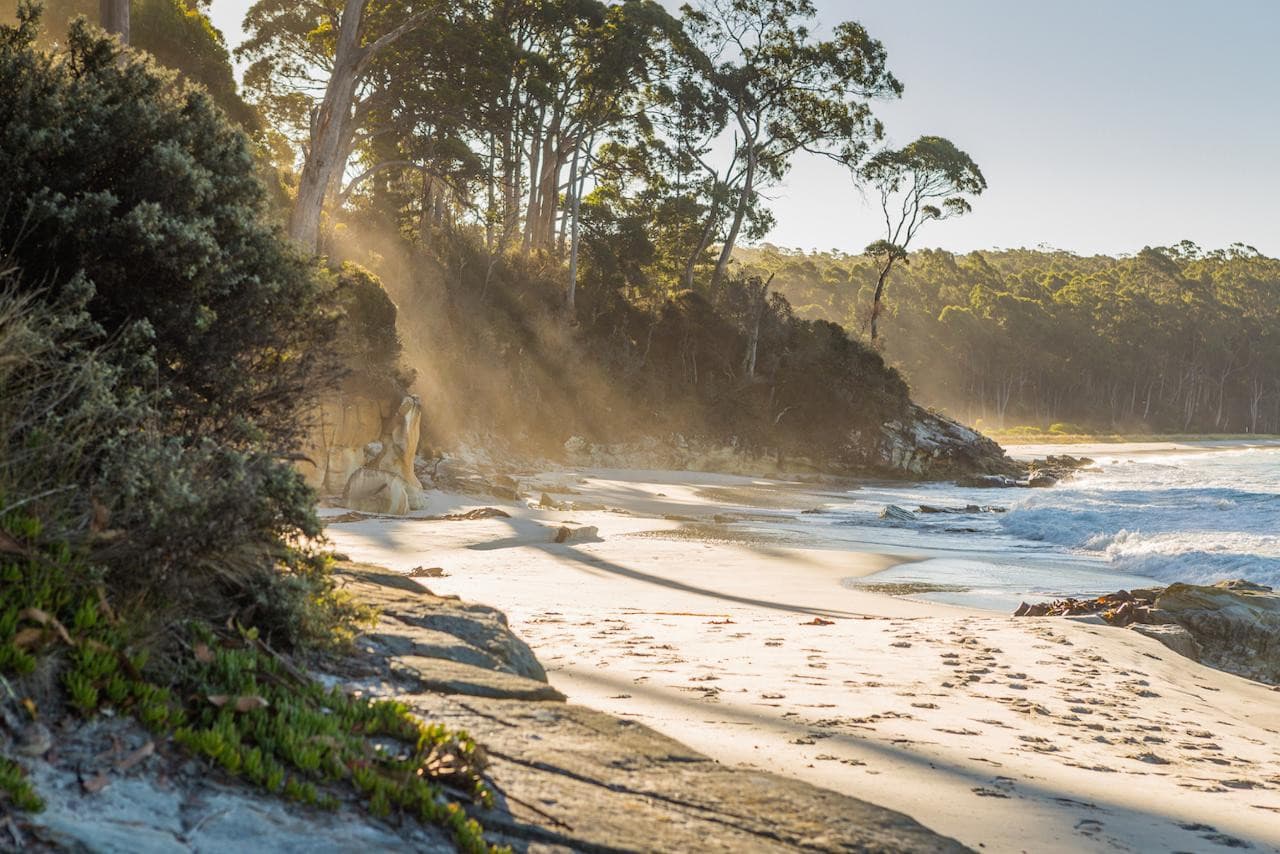 Bruny Island Full-Day Tour from Hobart - image 2
