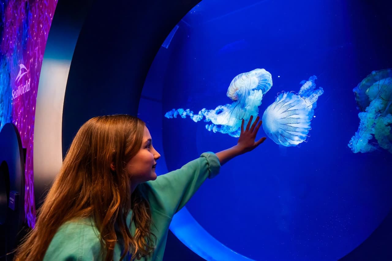 Entrada a SeaWorld San Diego: acceso directo - imagen 6