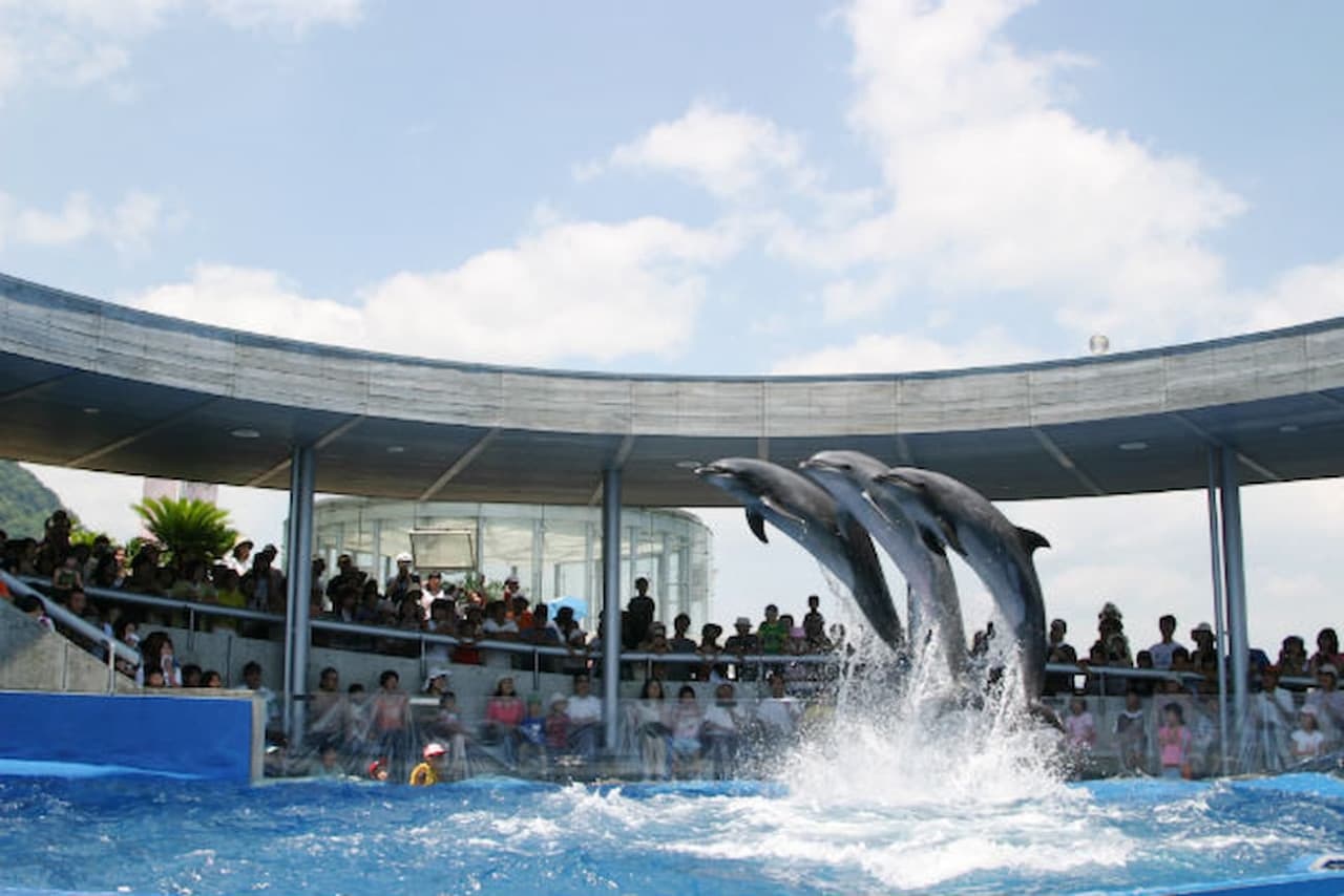 Oita Marine Palace Aquarium Umitamago Ticket - image 8