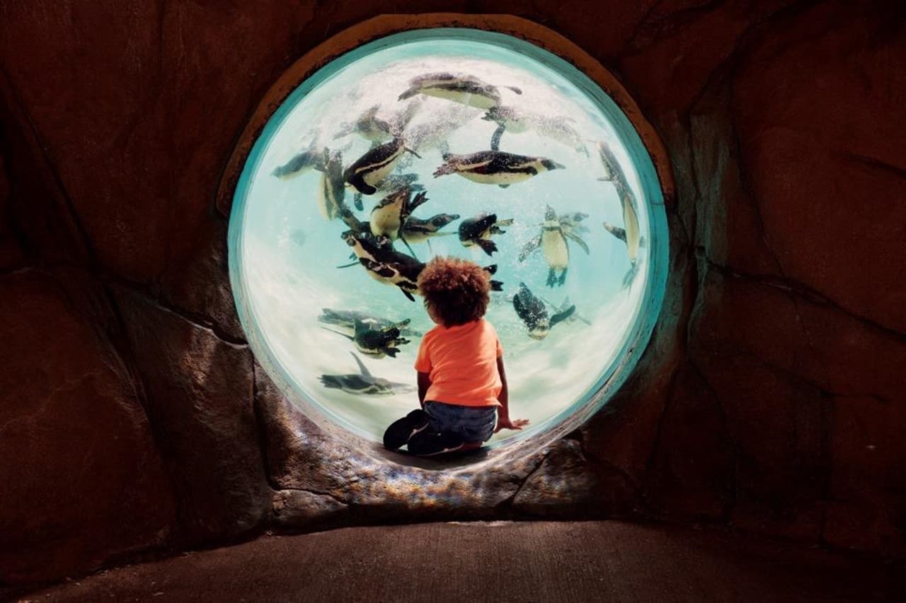 The London Pass: Save up to 50% on Attractions - image 25