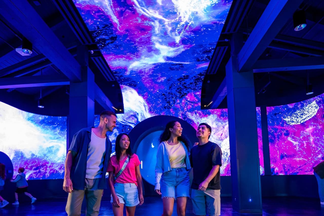 Entrada a SeaWorld San Diego: acceso directo - imagen 5