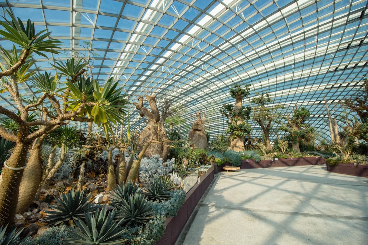 COMBO: Universal Studios Singapore + Gardens by the Bay Ticket - image 8