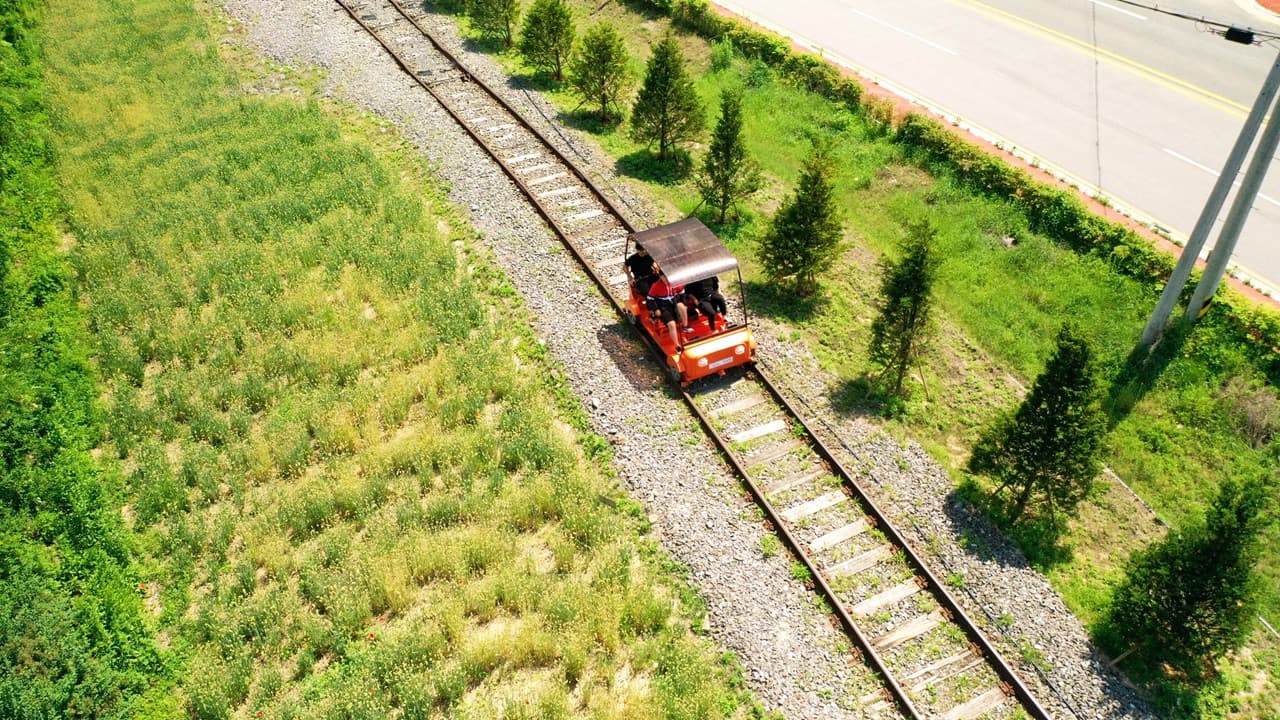 Tour de día completo a la isla de Nami, el monte Seorak y el Rail Bike de Gapyeong desde Seúl - imagen 20