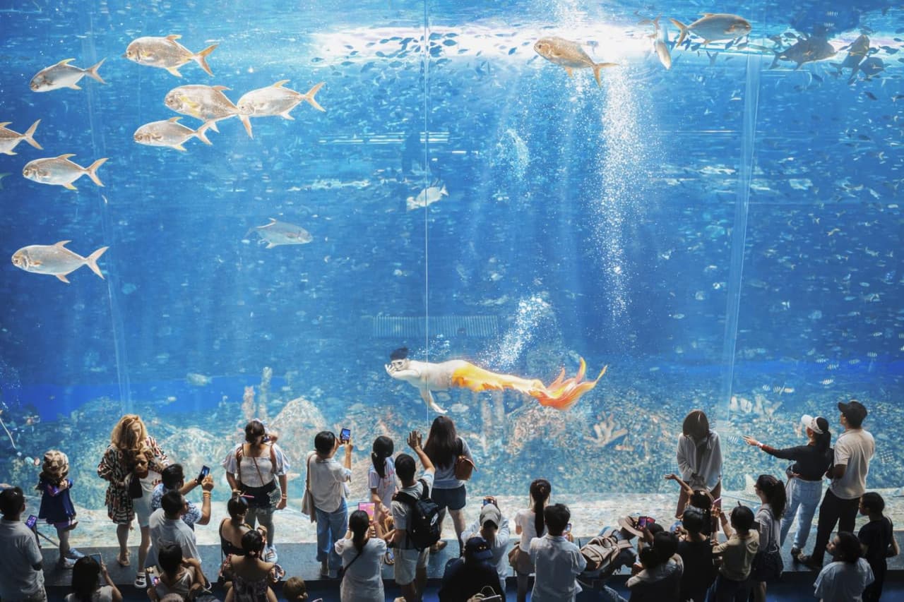 VinWonders Phu Quoc Amusement Park Ticket - image 15
