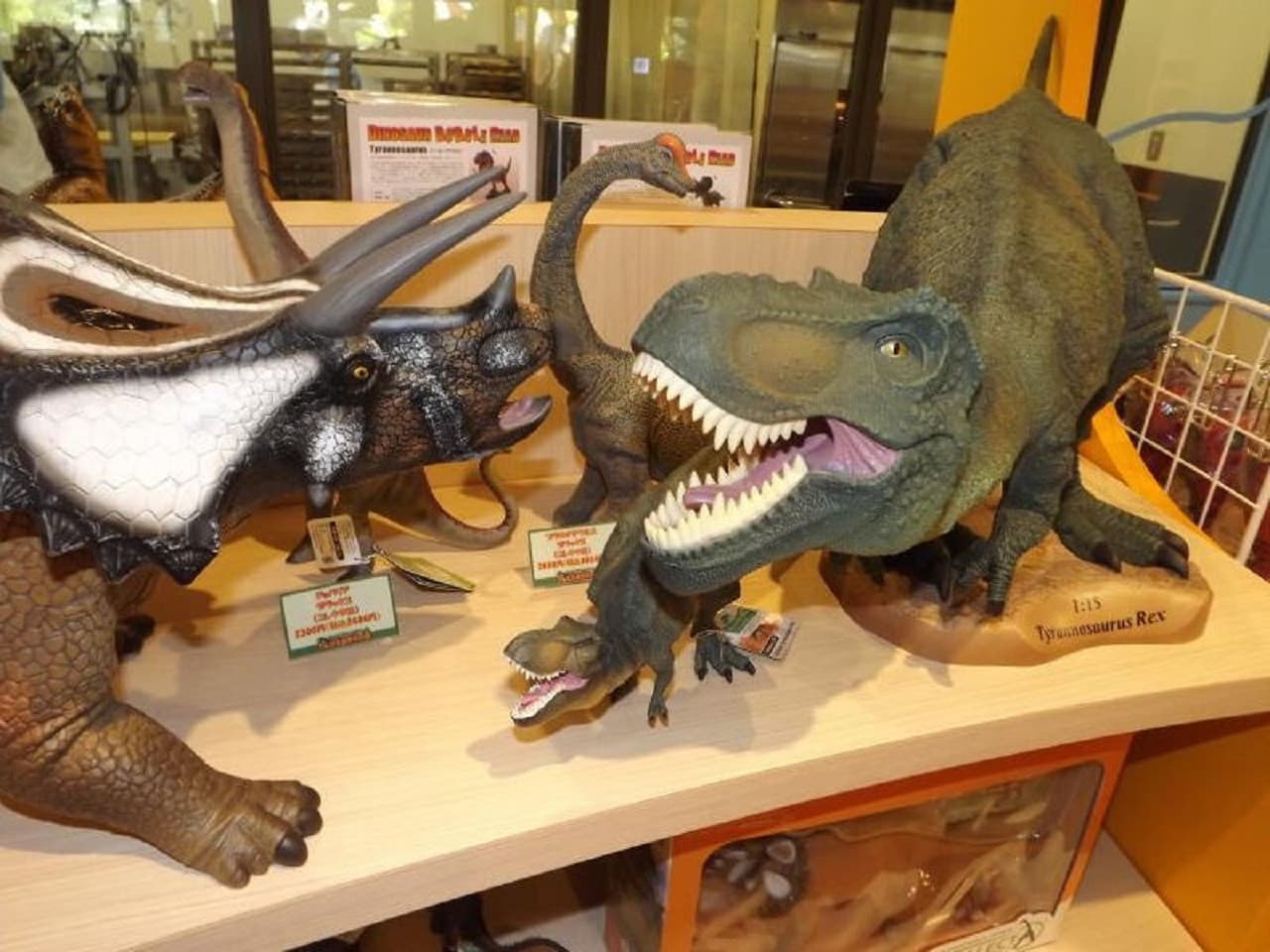 Okinawa Dino Park Yanbaru Subtropical Forest Ticket - image 12