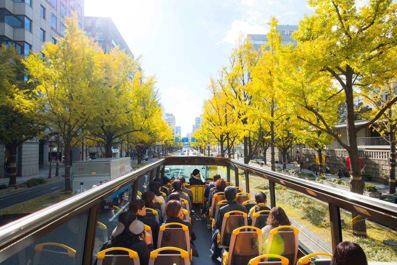 Osaka Sky Vista or Nani Wonder Sightseeing Bus Tour - image 3