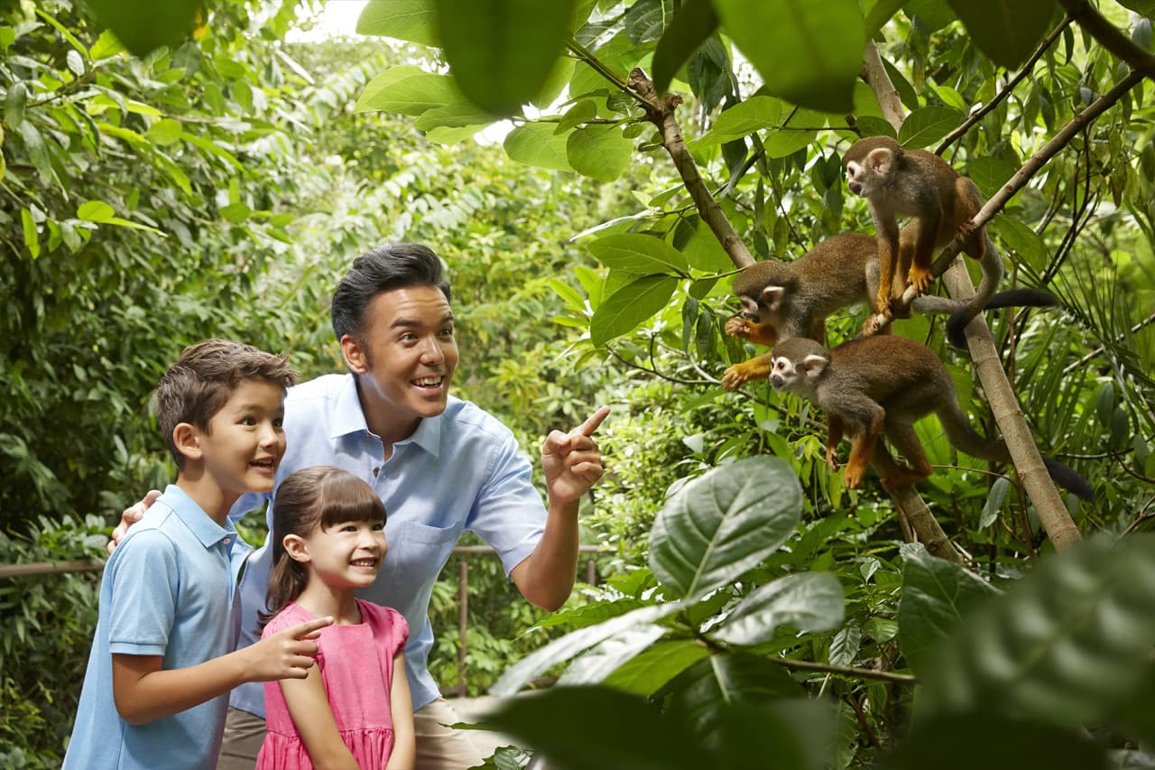 Go City Singapore Explorer Pass: Save up to 50% on Attractions - image 18
