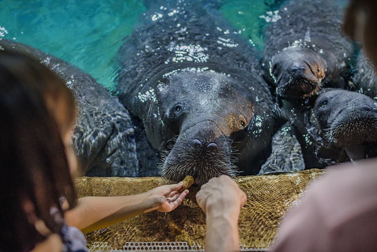 Entrada a River Wonders Singapur - imagen 5