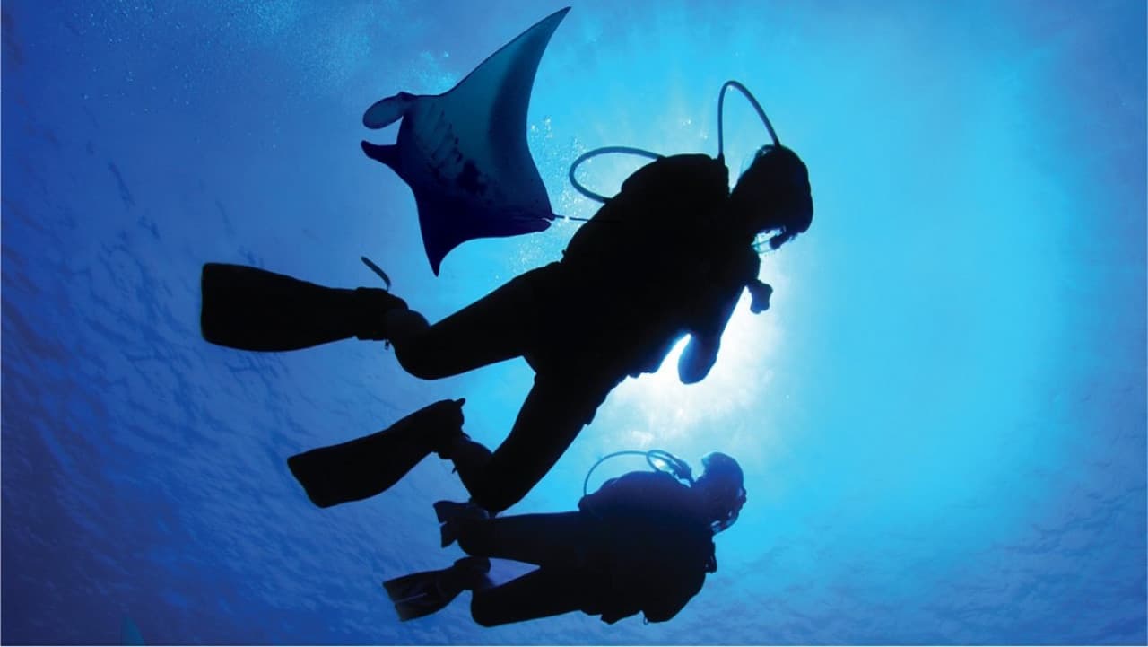 어드벤처 코브 워터파크 - 얼티메이트 마린 라이프 익스피리언스 (Ultimate Marine Life Experience) - 이미지 4