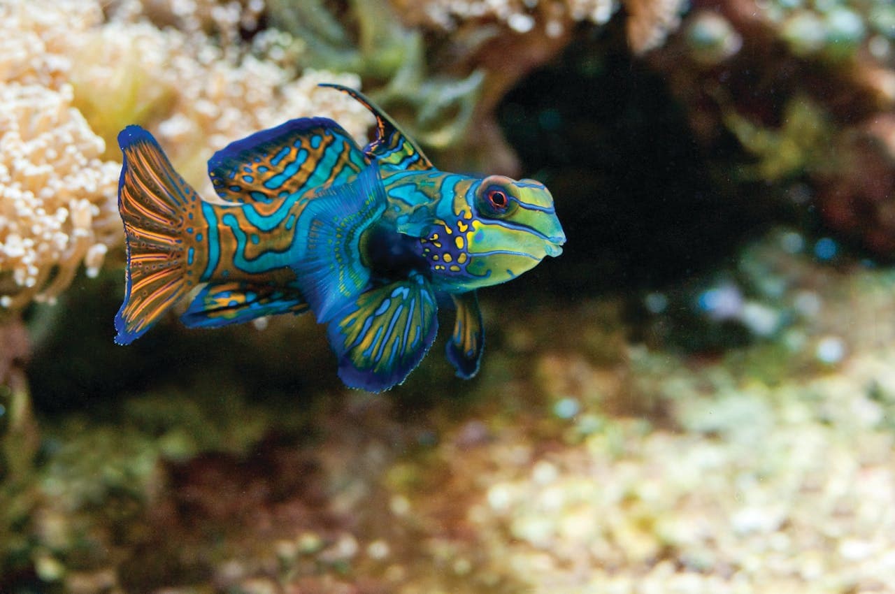 Entrada al New England Aquarium - imagen 15