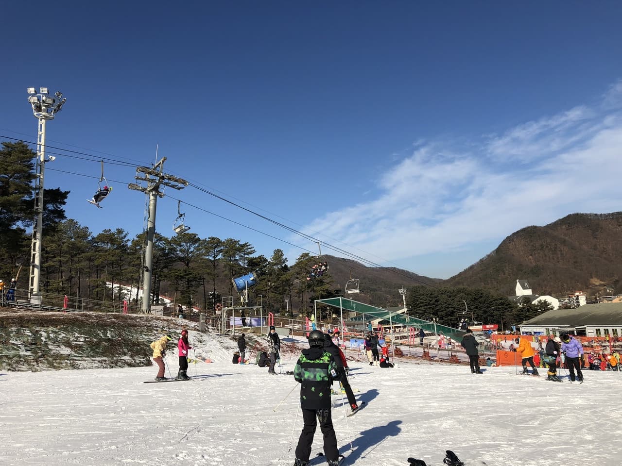Jisan Forest Ski Resort Full-Day Tour from Seoul - 이미지 7