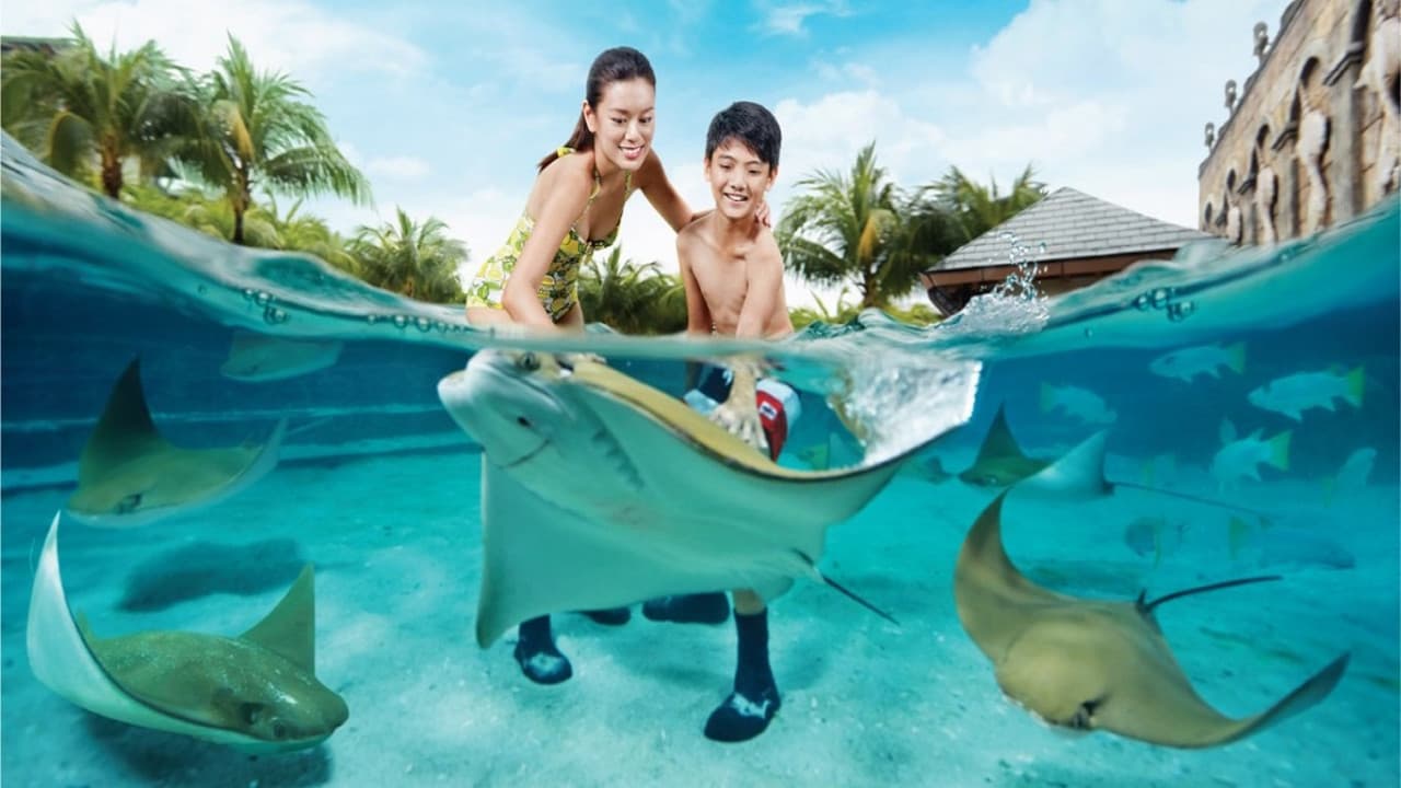 어드벤처 코브 워터파크 - 얼티메이트 마린 라이프 익스피리언스 (Ultimate Marine Life Experience) - 대표 이미지