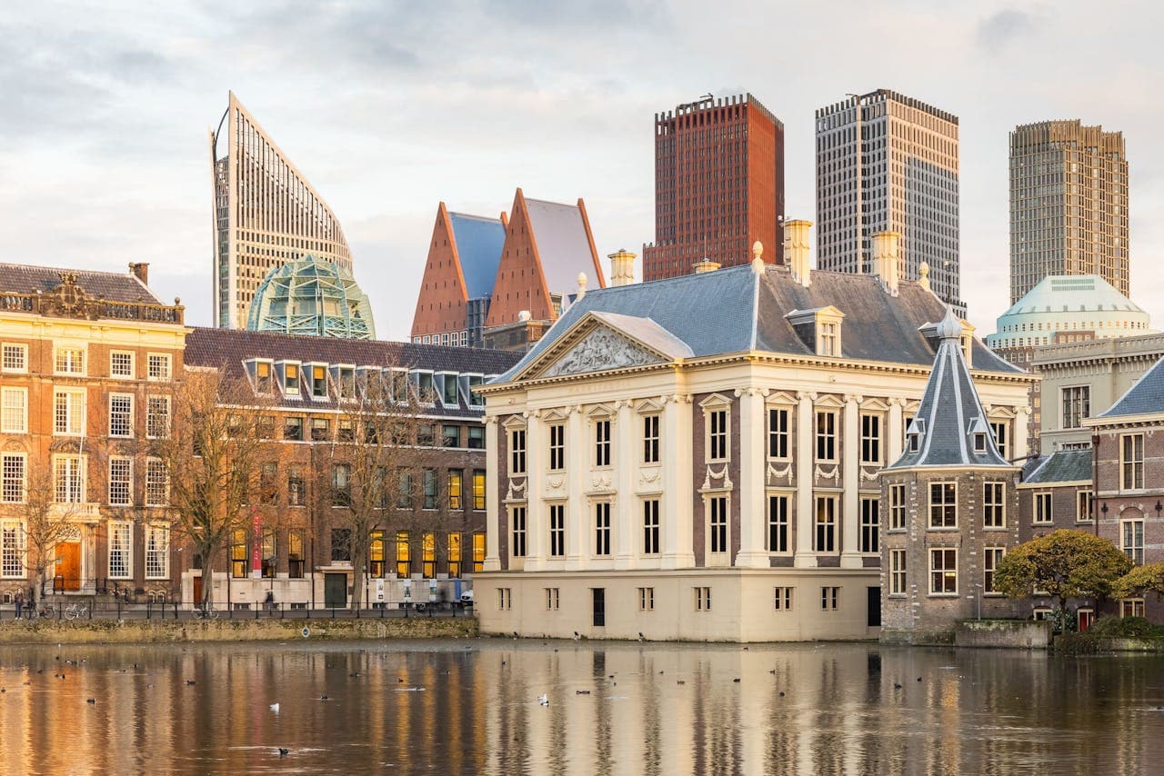 The Mauritshuis Museum Ticket - main image