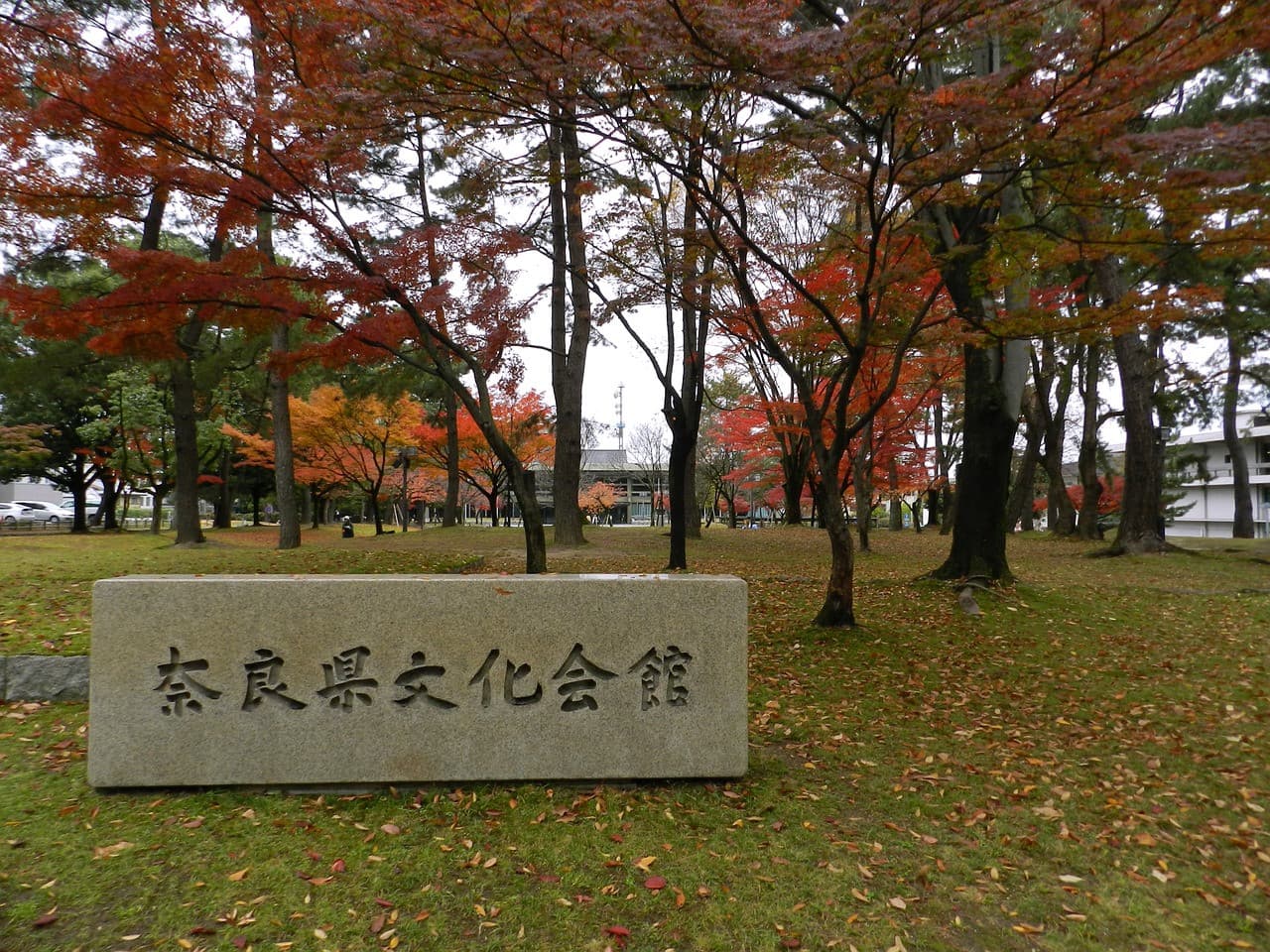 Nara Tour from Kyoto - 이미지 3