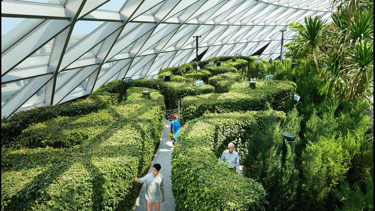 주얼 창이 공항 어트랙션 - 1+1 프로모션 진행 중! - 이미지 13