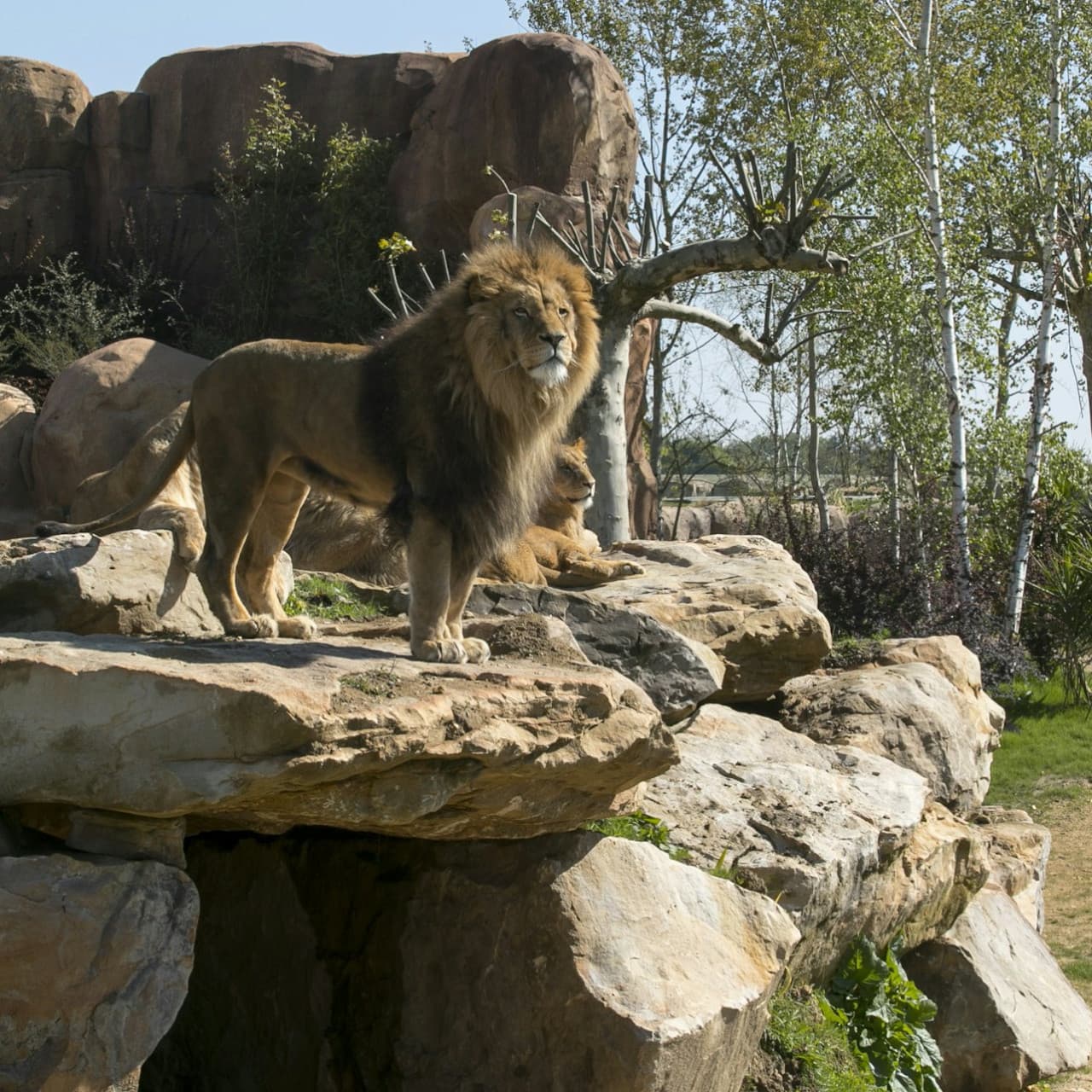 ZooParc de Beauval Ticket - 이미지 12
