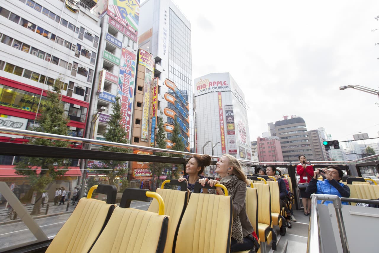 Tokyo Sky Hop-on Hop-off Sightseeing Bus - image 5